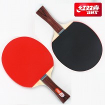 Vợt BB-DHS-1002